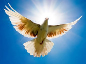 Pinksteren - Huren.nl - 1