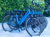 Elektrische fiets