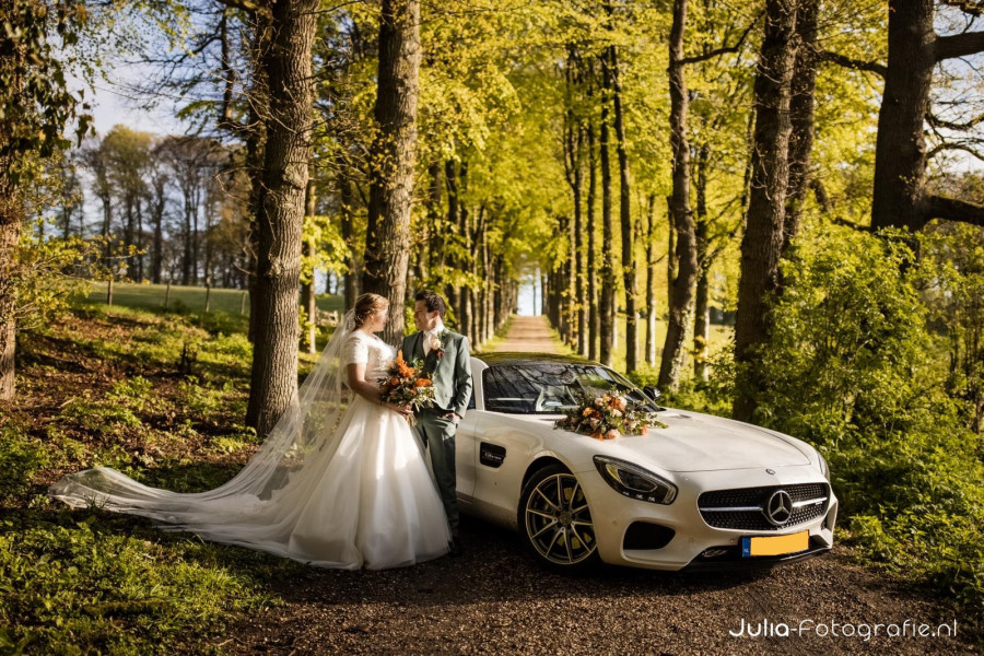 Mercedes AMG GT - Drive The Passion - 3