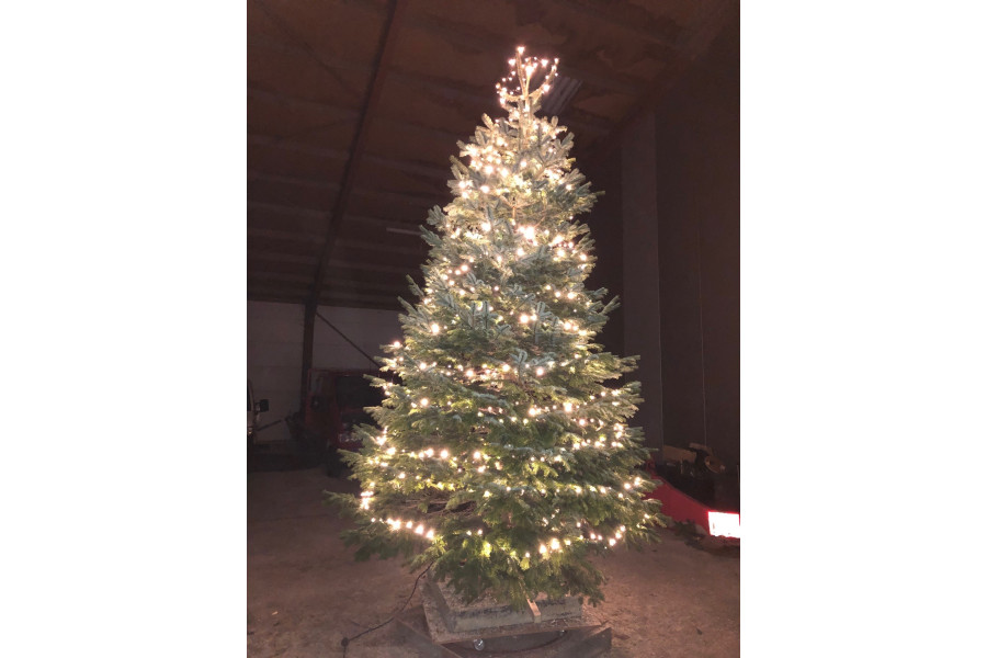 Kerstboom van 2 - 10 meter met / zonder verliching - Kupo Verhuur - 7