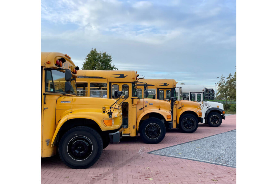 Amerikaanse schoolbus - P. Verbeek - 6