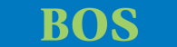 Bos Systemen logo