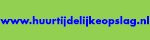 Huurtijdelijkeopslag.nl logo