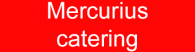 Mercurius Catering logo