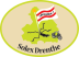 Solex Drenthe logo