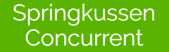 Springkussen Concurrent logo