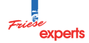 Friese Motorexperts