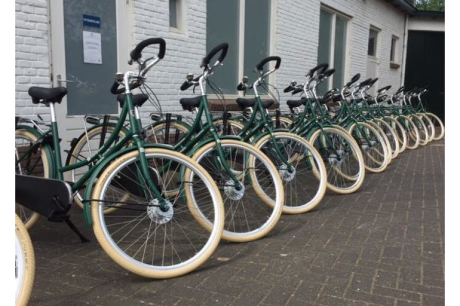 Heren- en damesfiets - Fietsreparateurs BROERS - 1