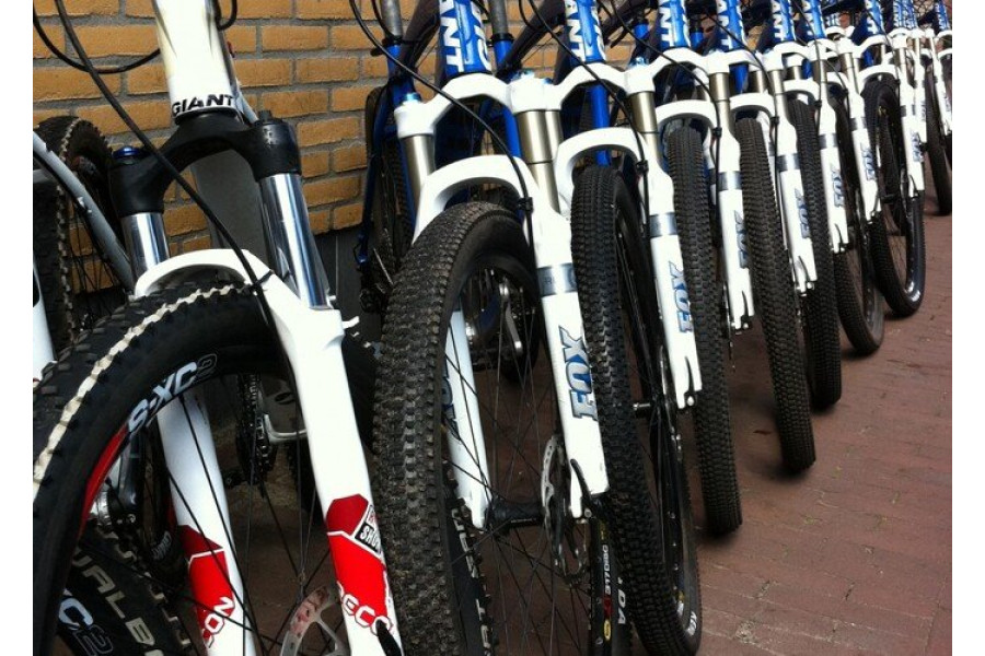 Elektrische mountainbike - Bike Totaal Pater - 1