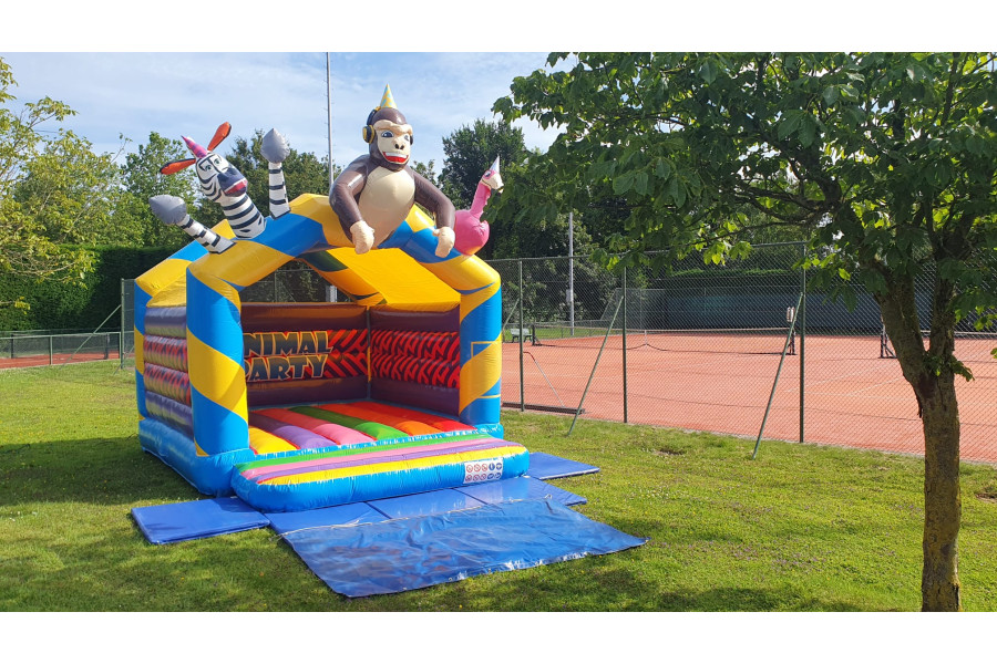 Springkussen 'Animal Party' - Jump-Now - 1