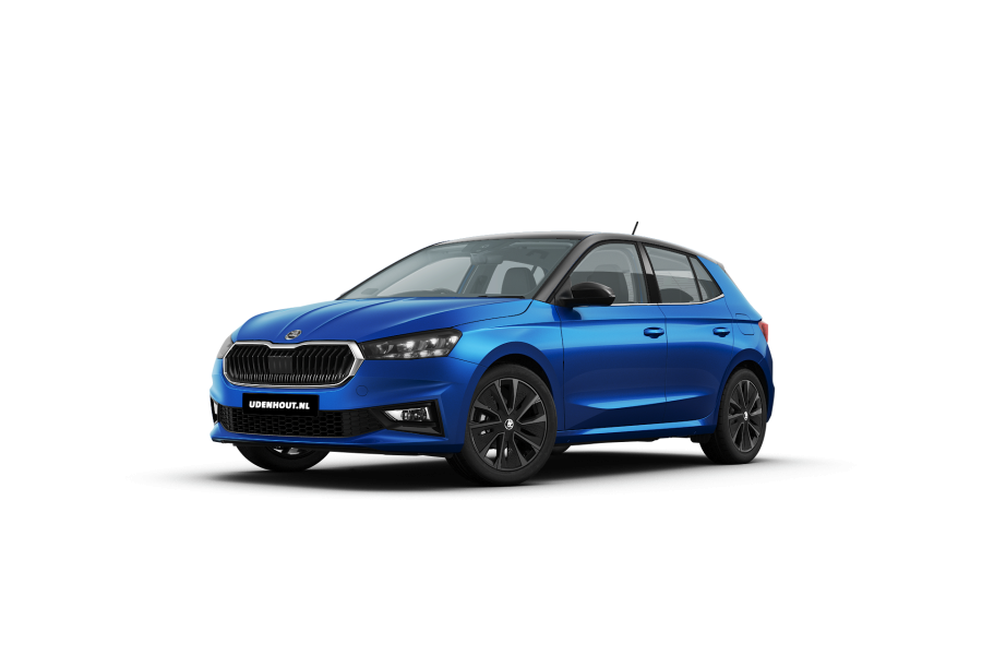 Škoda Fabia - Van den Udenhout Autoverhuur - 1